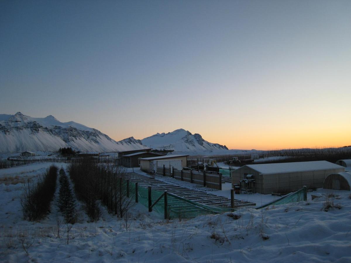Dilksnes Guesthouse เฮิฟน์ ภายนอก รูปภาพ