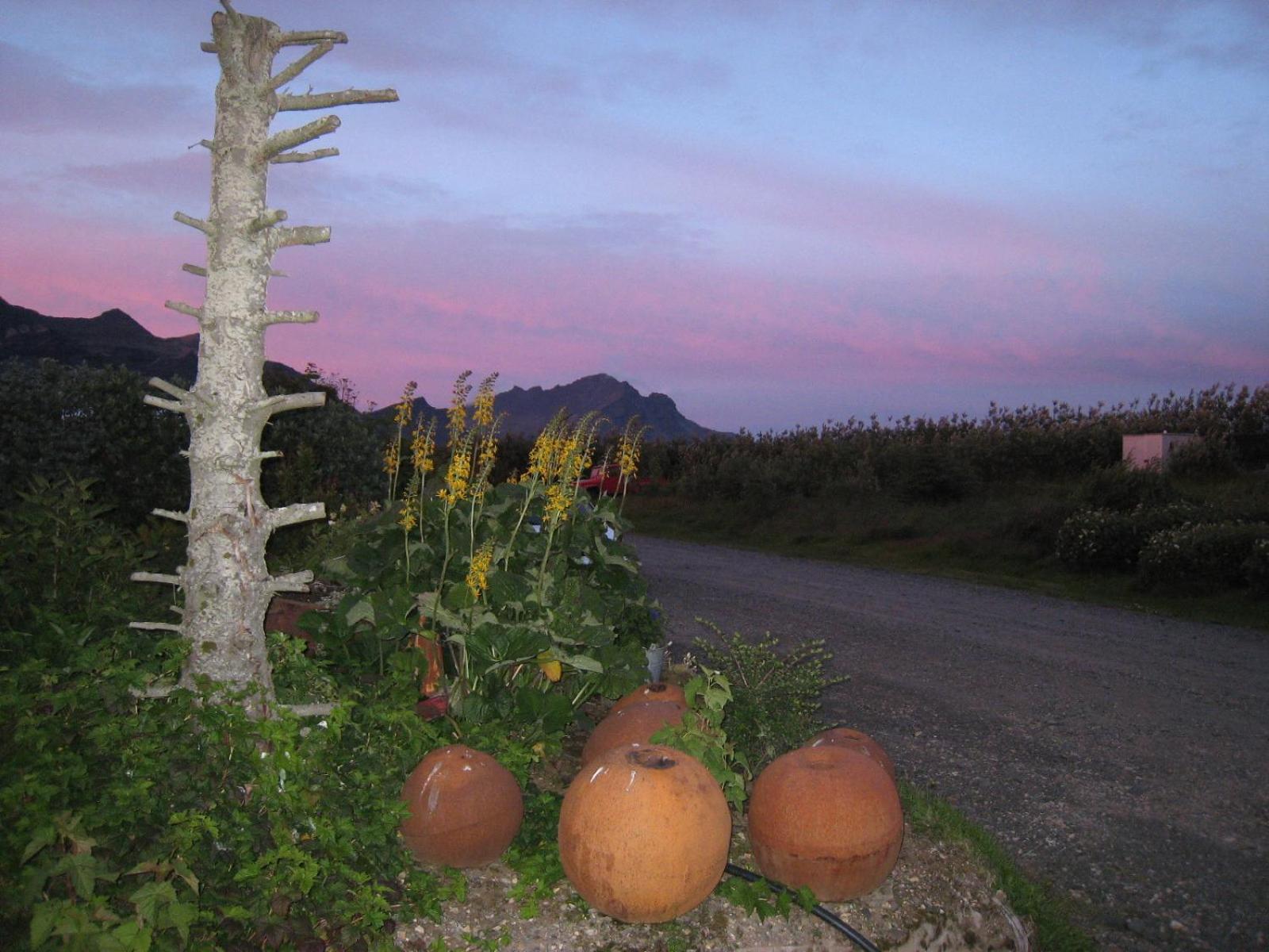 Dilksnes Guesthouse เฮิฟน์ ภายนอก รูปภาพ