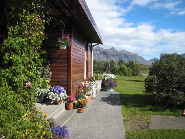 Dilksnes Guesthouse เฮิฟน์ ภายนอก รูปภาพ